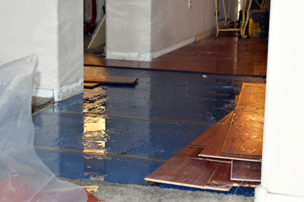 Professional Water Extraction technician working in New Straitsville, OH